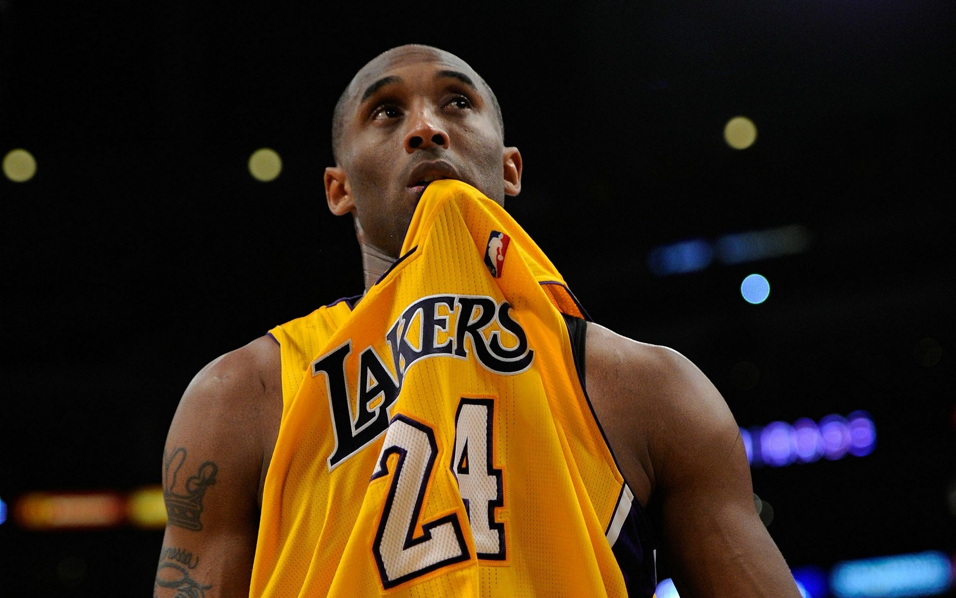 还征服了科 还征服了科