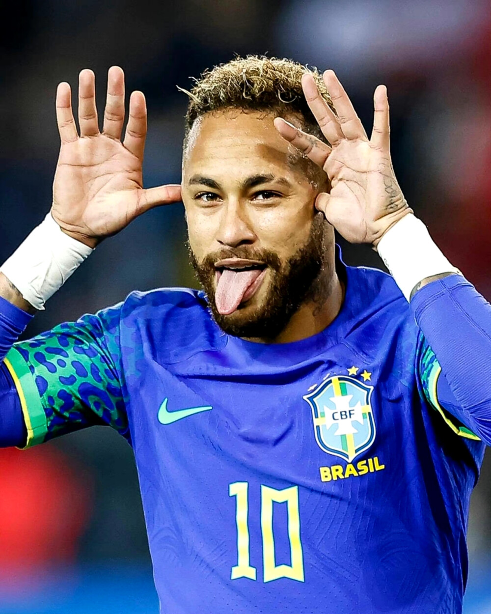 这证明了刘 这证明了刘