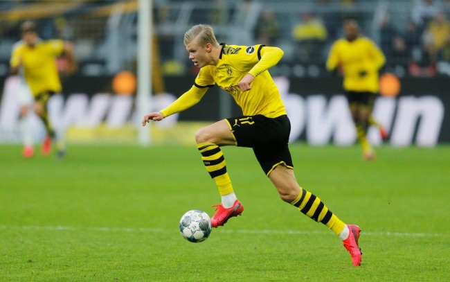 它们展现出 它们展现出