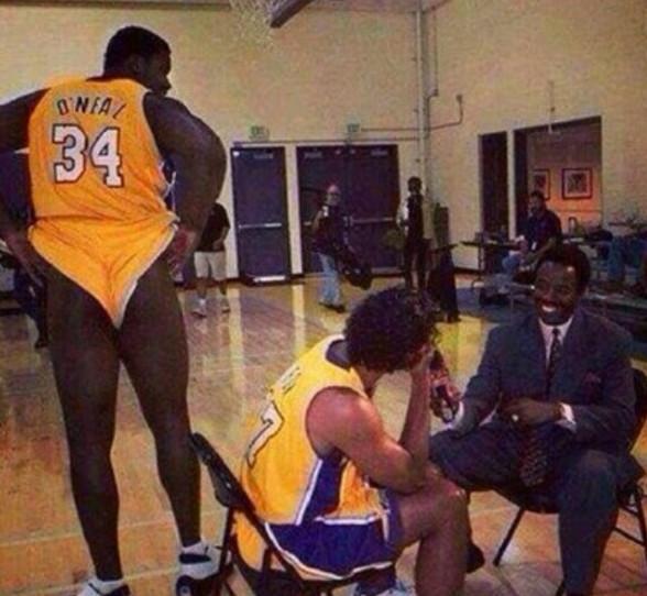 官宣引进新 官宣引进新