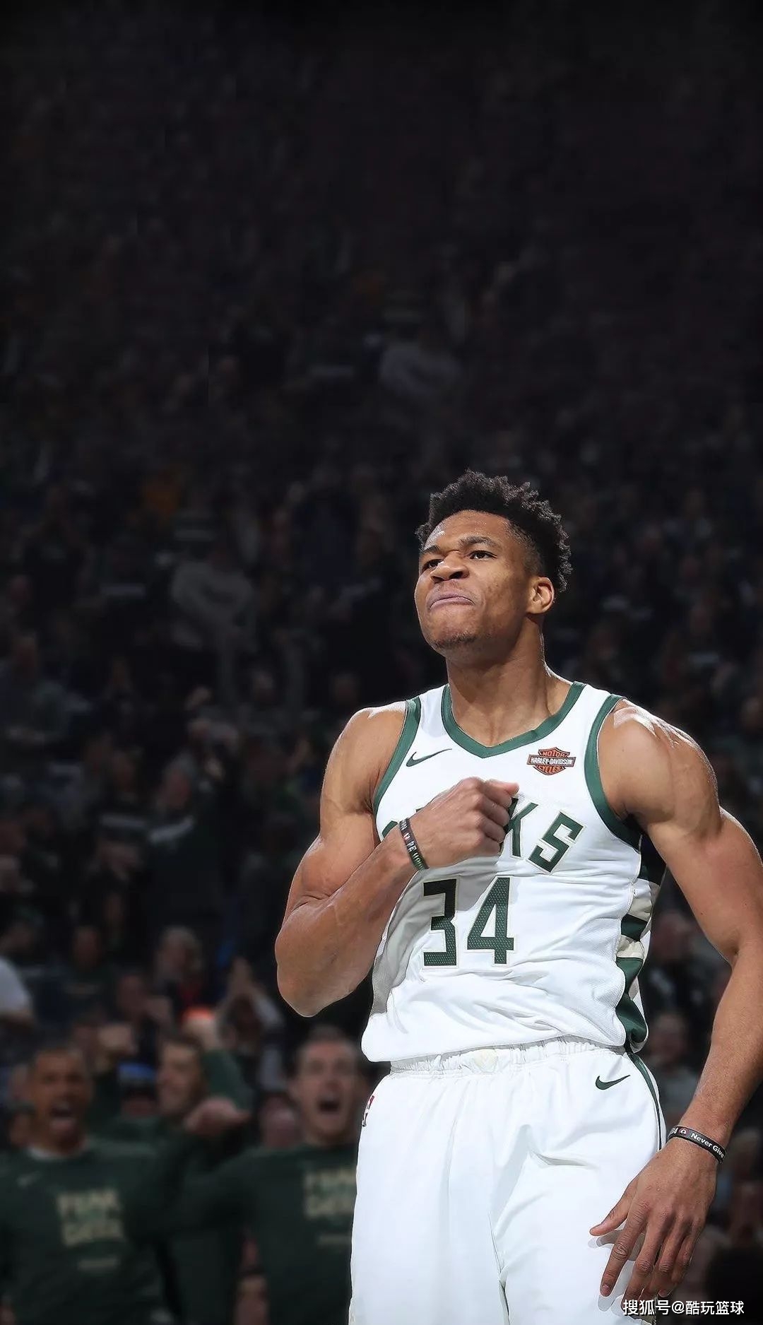 延迟必须提 延迟必须提